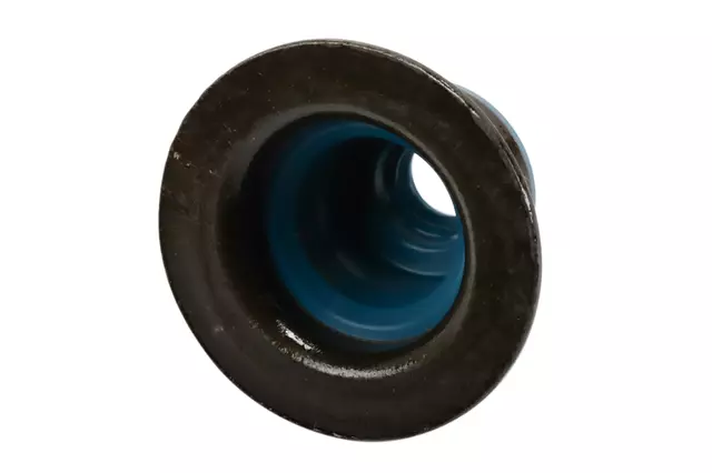 55498483 - : Intake Valve Stem Oil Seal for Buick: Envision Image