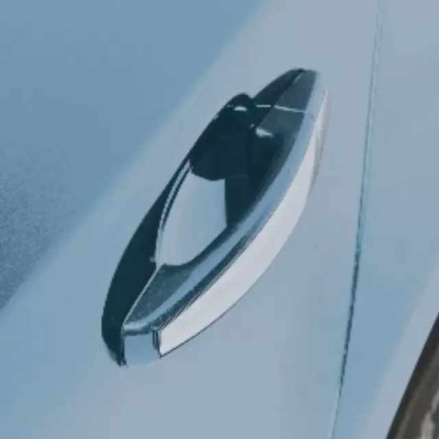Door Handles Set - GM (20919355)