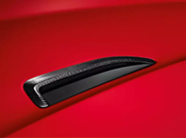 T2R25191 - Exterior: Bonnet Louvre, Silver Weave Carbon Fiber for Jaguar Image