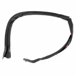 FT4Z5828124D - : Rear Weather-Strip for Ford: Edge Image
