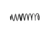 68540218AB - Front Suspension: Front Coil Spring for Mopar Image
