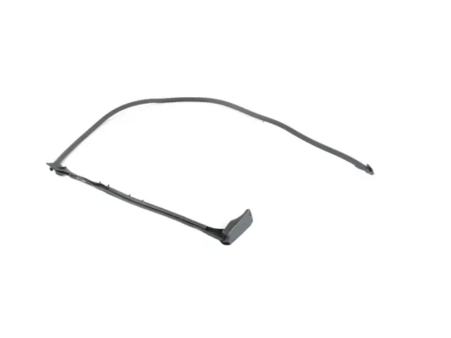 68229641AD - : Cargo Door Weatherstrip for Mopar Image