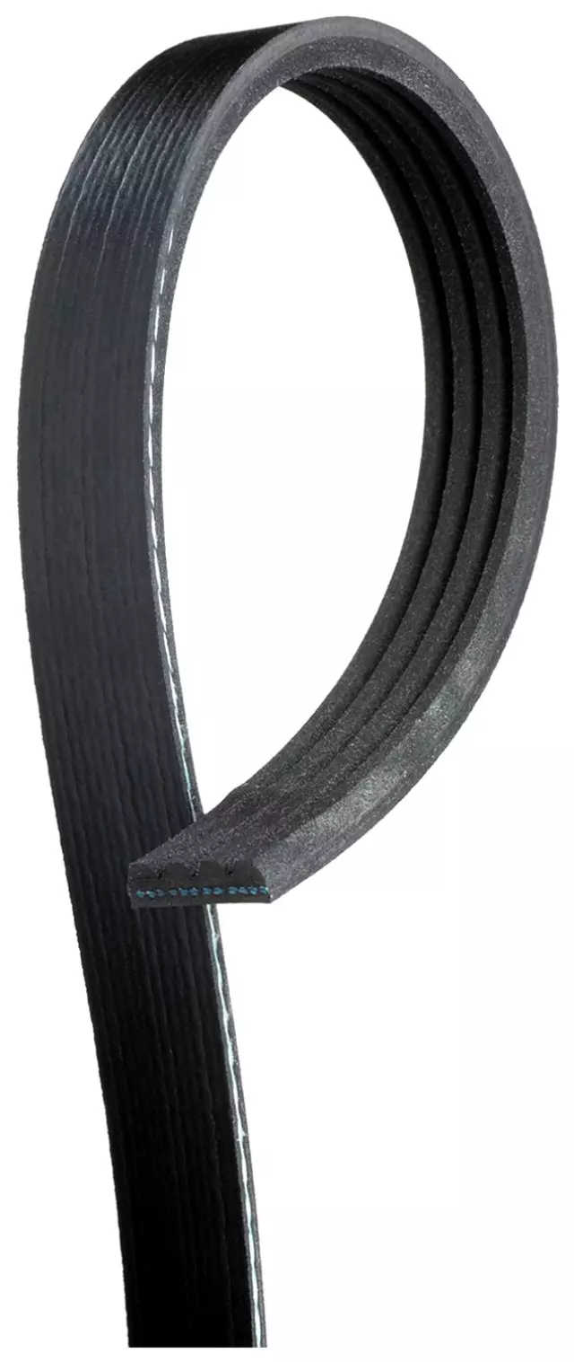 V-Ribbed Serpentine Belt - GM (12677962)