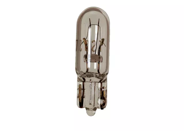 16081218 - : Lamp-W/Twist Socket for GM Image