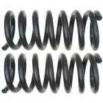 81198 - : Front Coil Spring Set for Moog Image