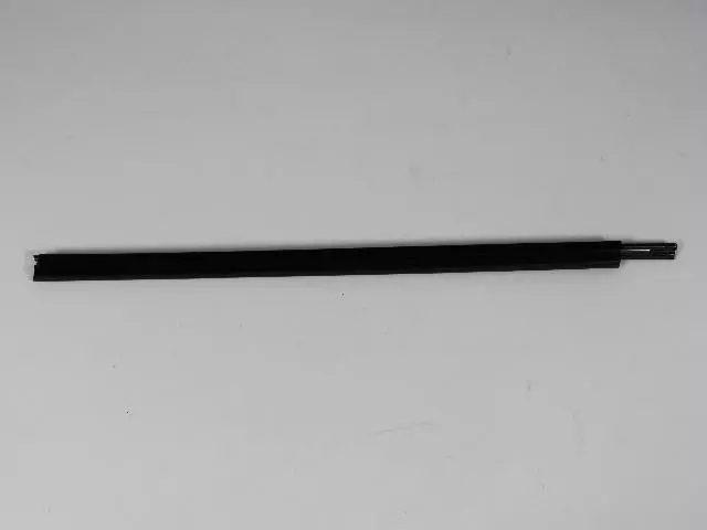 5303686AH - Doors, Door Mirrors and Related Parts: Front Door Belt Outer Weatherstrip, Right for Mopar Image