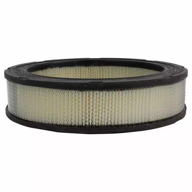 Element Assembly Air Cleaner - Ford (C5ZZ-9601-BR)