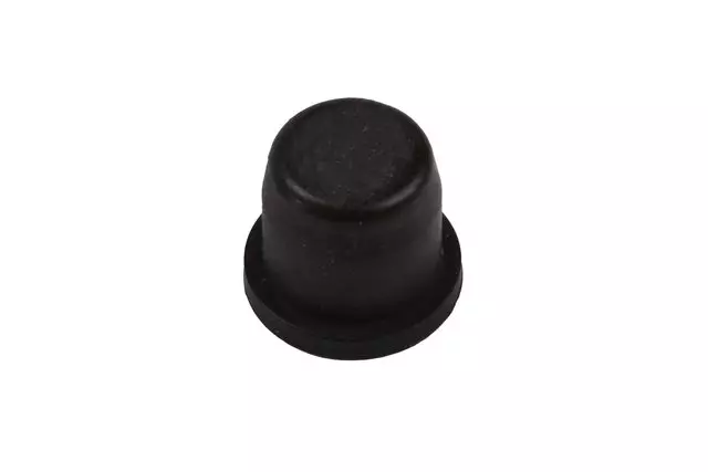 13531961 - : Front Brake Caliper Bleeder Valve Cap for Buick: Encore GX | Chevrolet: Trailblazer Image