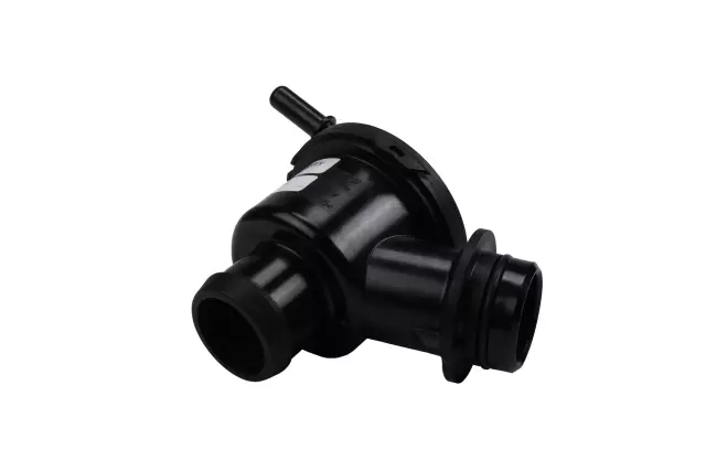 Valve - GM (12663589)