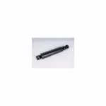 15185643 - : B (S)Absorber for GM Image