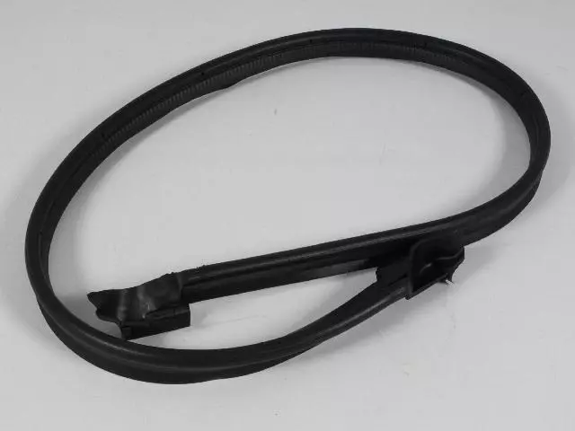 Lift-Gate Glass Weatherstrip - Mopar (55395244AG)