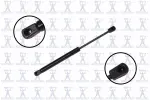 86471 - : Focus Auto Parts Hood Lift Support for Focus Auto Parts Image