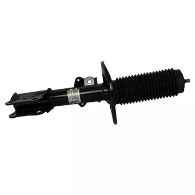 Shock Absorber Assembly - Ford (AST-24728)
