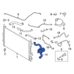 LK4Z8286J - Cooling System: Lower Hose for Ford: Transit-150, Transit-250, Transit-350, Transit-350 HD Image
