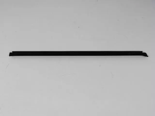 Belt Molding - Mopar (55135309AE)