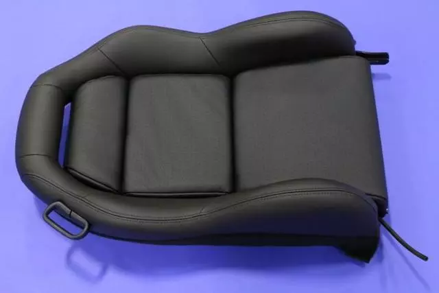 SN611X9AA - Interior Trim: Front Seat Back, Left for Mopar Image