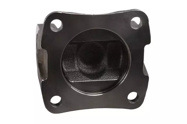 Drive Shaft Flange - GM (84679946)