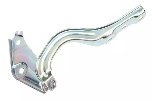 Hinge - GM (42756087)