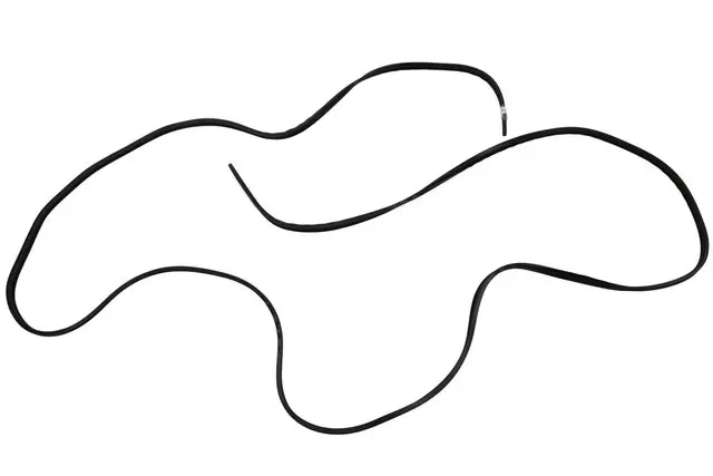 22926544 - Body: Weatherstrip for Cadillac: CTS Image