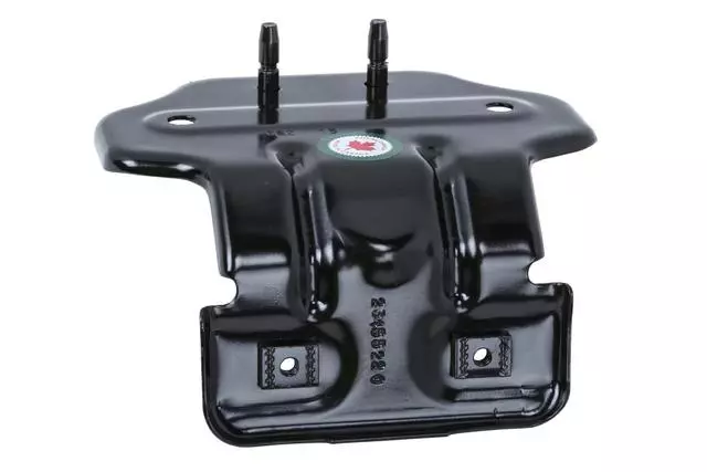 Rear Side Door Pull Handle Bracket - GM (23455220)