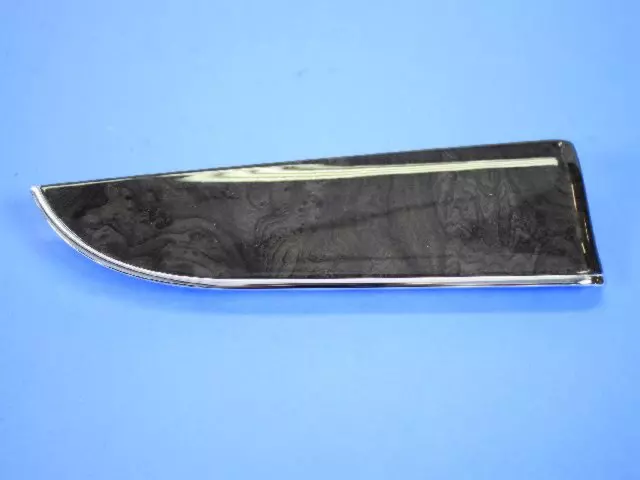 Outer Molding - Mopar (1RB81AAAAB)