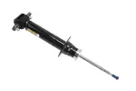 19420493 - Suspension: Front Shock Absorber for Cadillac: Escalade, Escalade ESV, Escalade EXT | Chevrolet: Avalanche, Silverado 1500, Suburban 1500, Tahoe | GMC: Sierra 1500, Yukon, Yukon XL 1500 Image