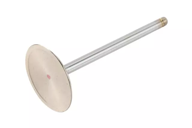 12569427 - Engine: Intake Valve for Chevrolet: Camaro, Corvette, SS | Pontiac: G8 Image