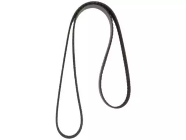 Serpentine Belt - Ford (5L3Z-8620-CA)