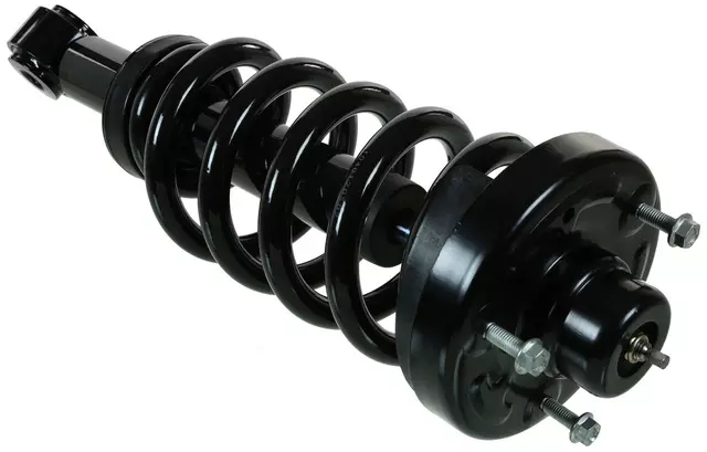 Rear Suspension Strut and Coil Spring Assembly - ACDelco (903-419RS)