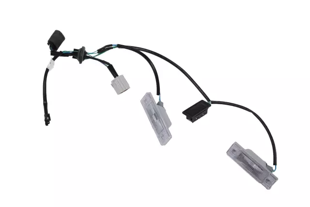 License Lamp - GM (42351796)