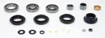 STCK1356 - : SKF Transfer Case Rebuild Kit STCK1356 For Ford Chevrolet GMC for SKF Image