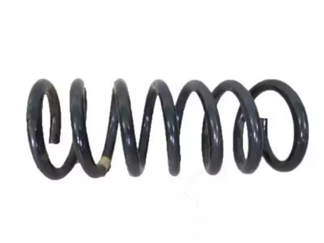 Coil Spring - Ford (DG9Z-5560-B)