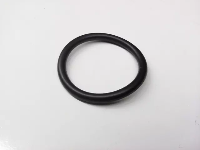 58121687 - : Engine Coolant Pipe O-Ring for Volkswagen: Jetta, Passat Image