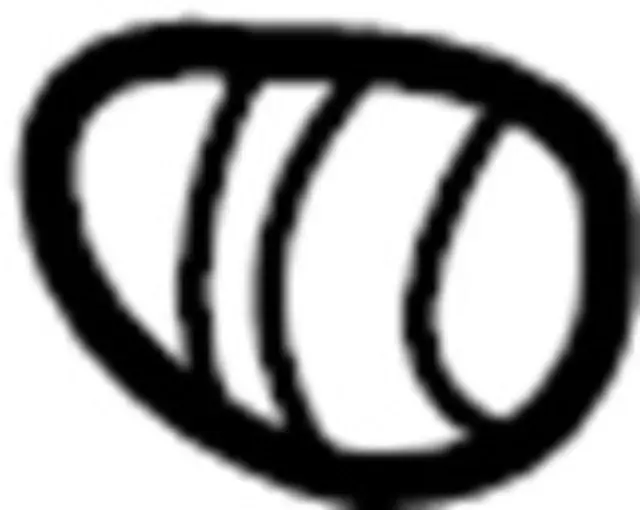 Cap - Infiniti (17251F9912)