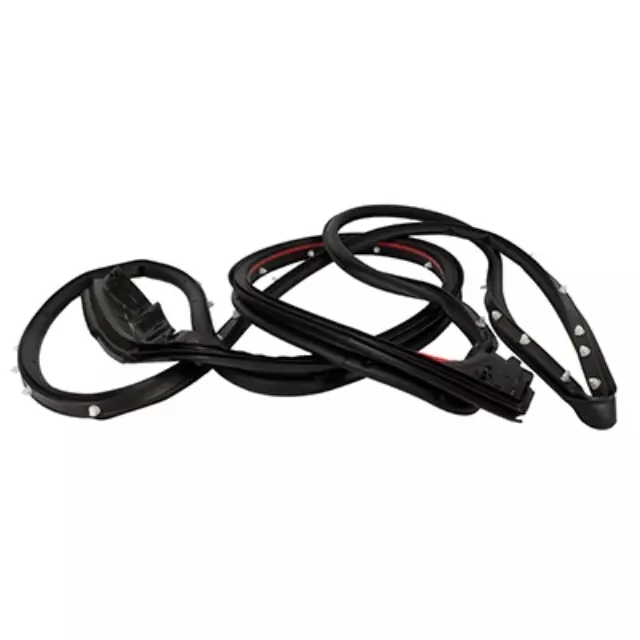 Door Weather-Strip - Ford (FL3Z-1820530-A)