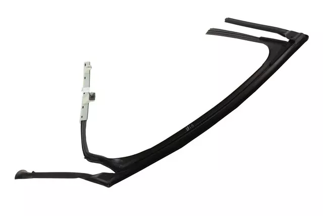 Rear Side Door Window Weatherstrip - GM (84150964)