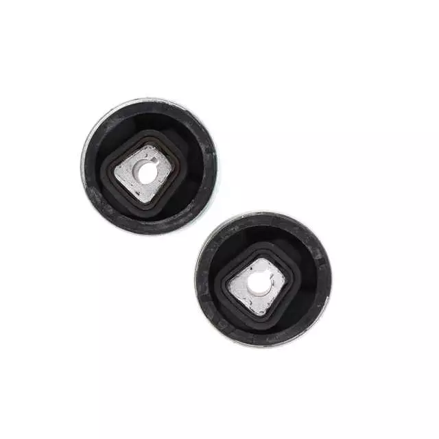 Bushing - GM (19463987)