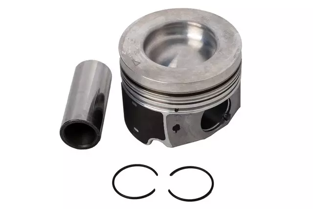 F (S)Piston Kit - GM (19302751)