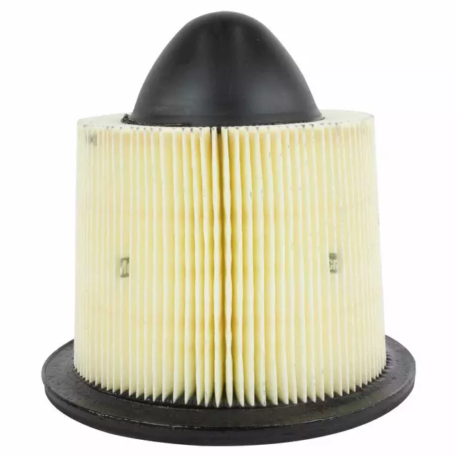 Engine Air Filter - Ford (F5OY-9601-A)