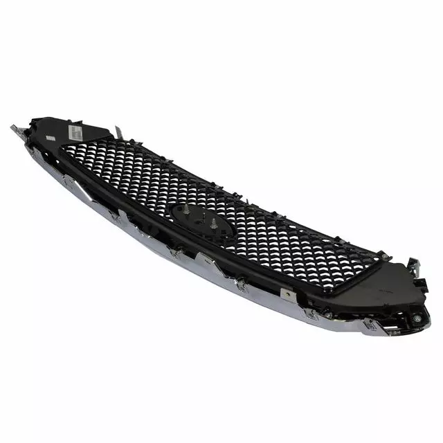 Grille - Ford (DG1Z-8200-DC)