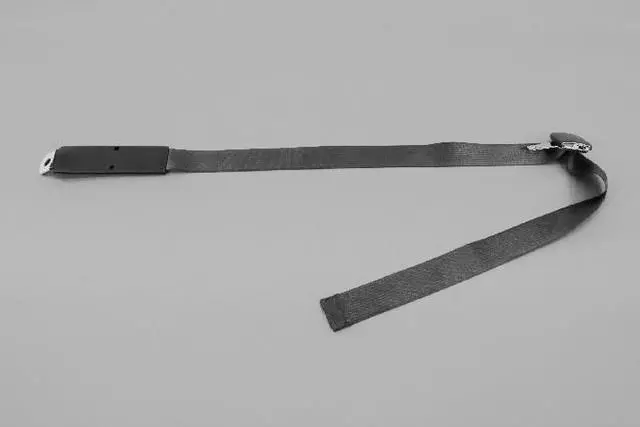 5KQ36DK2AB - Restraints: Tip Half Seat Belt for Dodge: Ram 1500, Ram 2500, Ram 3500 | Ram: 1500, 2500, 3500 Image