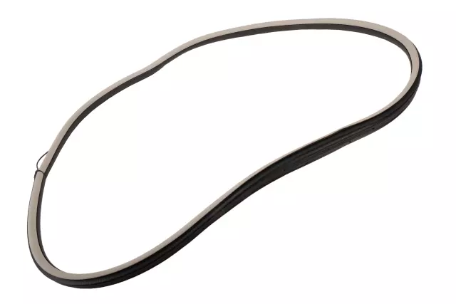 25792032 - Body: Surround Weather-strip for GM Image image