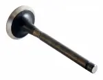 EM2509 - : Engine Exhaust Valve for Enginetech Image