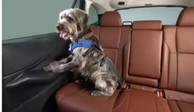 SOA567R300 - Interior: Pet Rear Door Protector for Subaru: Legacy Image