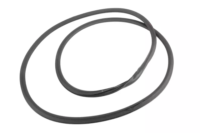 Front Side Door Body Side Weatherstrip - GM (84234126)