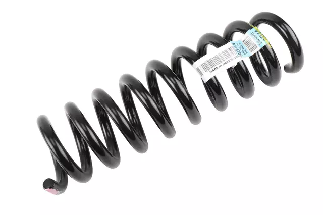 Rear Coil Spring - GM (84642081)