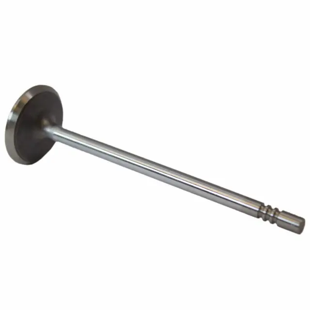 3L3Z6507BA - Engine: Engine Intake Valve for Ford Image