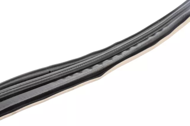Door Window Belt Weatherstrip - GM (20968714)