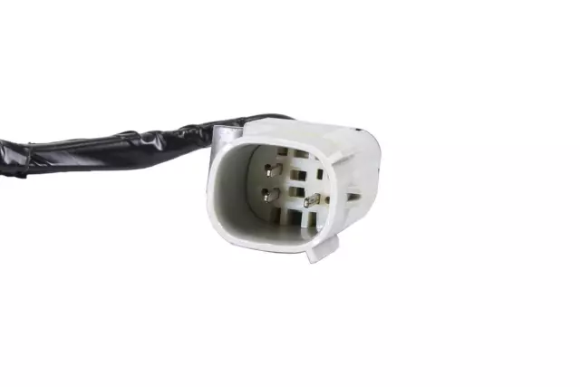 Rear Body Structure Stop Lamp Socket - GM (84240491)