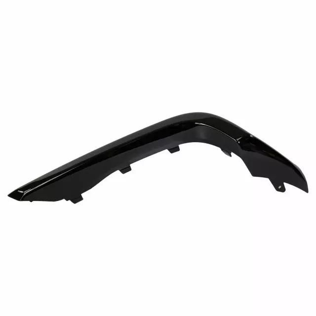 LB5Z17C830ACPTM - Body: Trim Molding for Ford: Explorer Image